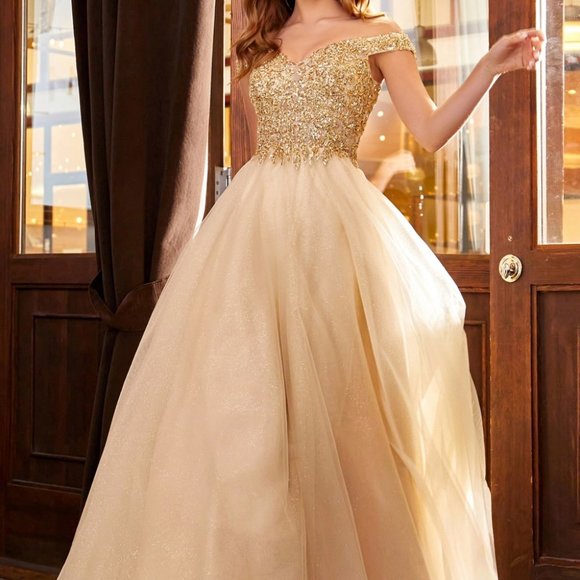 CHAMPAGNE NEW EVENING A-LINE Off Shoulder Sweetheart Neck Prom Dress CD0177